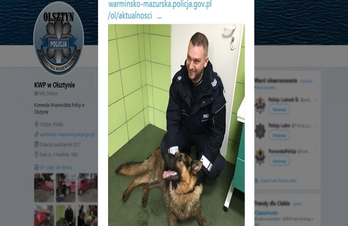 {Wiadomość opublikowana przez policję na Twitterze pozwoliła szybko znaleźć właścicieli rannego owczarka.}